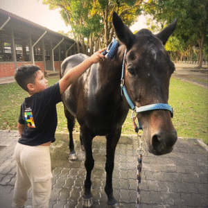 Kids Cleaning Horses