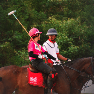 Adult Horse Polo