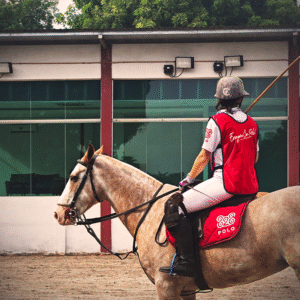 Adult Horse Polo