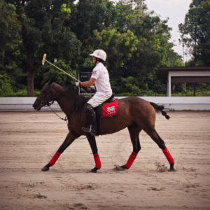 Adult Horse Polo