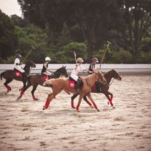 Chukka Match Polo