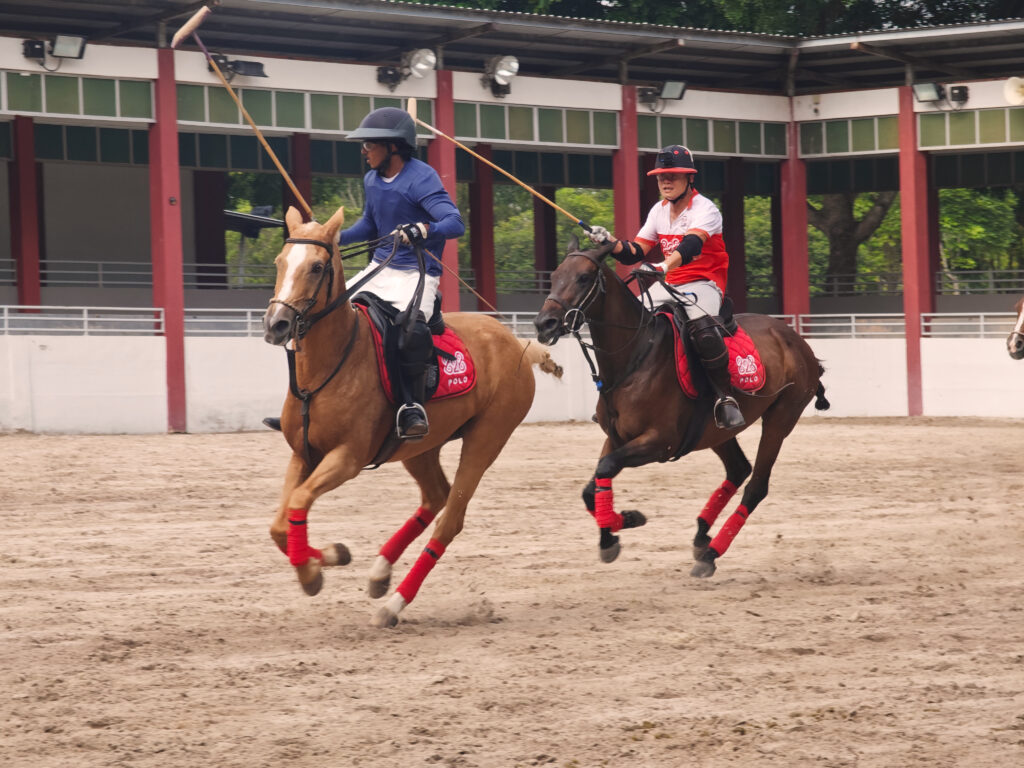 Adult Horse Polo
